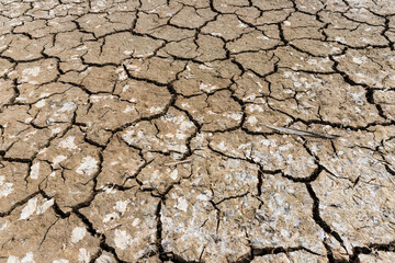 
Barren land, parched soil cracked by lack of rain, climate change.
Conceptual nature, climate change, drought, deforestation
