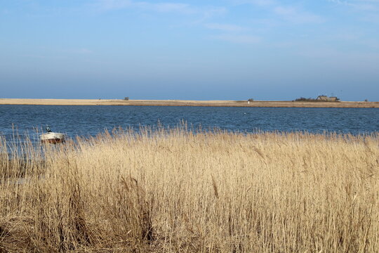 Vogelschutzgebiet auf der Insel Langenwerder in der Ostsee n&ouml;rdlich von Poel (bird protection zone on the island Langenwerder in the Baltic Sea) 