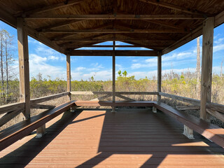 View from the trail along the Chesser Island boardwalk in Okefenokee National Wildlife Refuge near Folkston, Georgia, USA.
