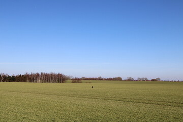 Wandern auf der Ostsee-Insel Poel (Hiking on the island Poel in the Baltic Sea) | Wanderwege auf der Insel (Hiking path on the island)