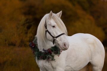 White Christmas Horse with Wreath