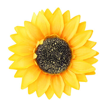 artificial fabric sunflower isolated on white