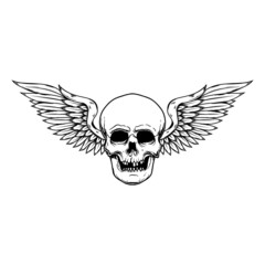 Winged skull . Design element for emblem, sign, badge, logo. Vector illustration