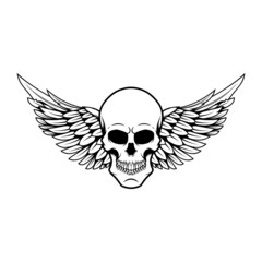 Winged skull . Design element for emblem, sign, badge, logo. Vector illustration