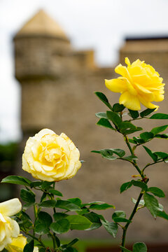 Zitadelle Las Palmas