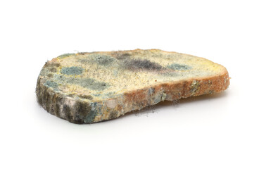 Piece of moldy bread.