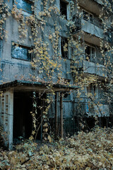 abandoned city of Pripyat in the Chernobyl zone