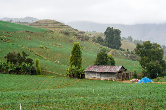 Dramatic image of a onion farm and barn on the Caribbean mountain countryside road of the Dominican Republic, with onion fields in the hills.