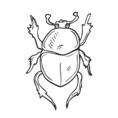 beetles set hand drawn elements in doodle style. vector scandinavian insects