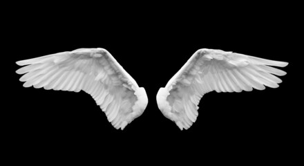 Angel wings isolated on black background