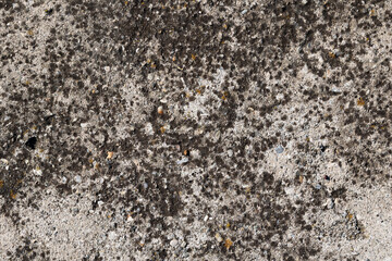 Cracked and abstract grunge texture. Aged material surface backdrop. Weathered effect pattern. Old and dirty background.