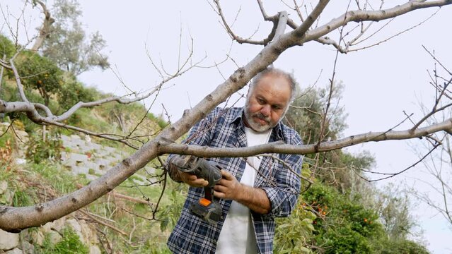 Seasonal pruning of trees. Mature bearded gardener pruning fruit trees with reciprocating saw. Taking care of garden. Cutting tree branch. Spring gardening.