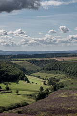 landscape with hills
