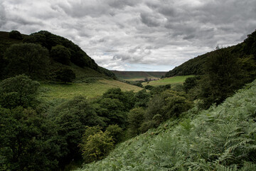 landscape with clouds