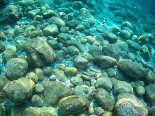 Under the water with fishes, The Red Sea, Egypt autumn