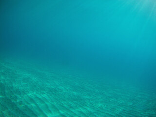Under the water with fishes, The Red Sea, Egypt autumn
