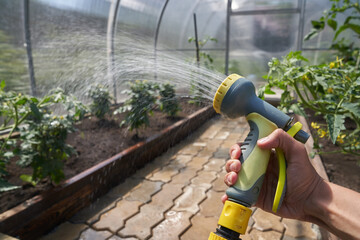 A close-up of a man's hand under pressure sprays an aqueous solution on a flower bed with plants in...