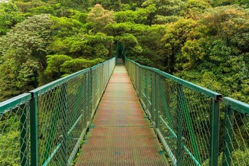 Selvatura Hanging Bridge in the middle of the jungle in Costa Rica, Central America