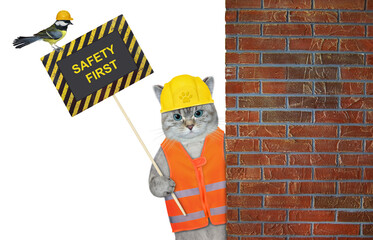 An ashen cat worker in a construction helmet holds a poster that says safety first. White background. Isolated.