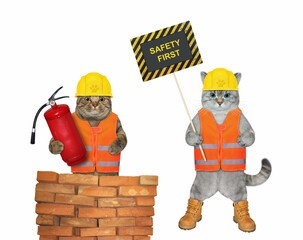 Two cats workers in construction helmets with a poster that says safety first. White background. Isolated.