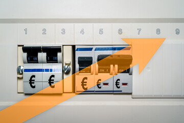 Several RCBO or differential switchs with euro sign with an arrow going up