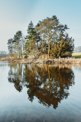 Obraz premium reflection of trees in the lake