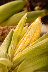 Open green corn arranged on a table with green and white tablecloth, selective focus.
