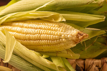 Open green corn arranged on a table with green and white tablecloth, selective focus.