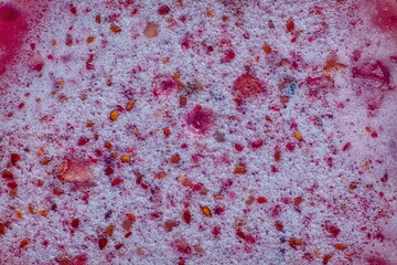 Cream honey with lingonberries close-up (macro)