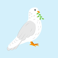 White dove of peace with an olive branch on a blue background, vector illustration