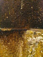 COLOR TEXTURE FOR THE BACKGROUND