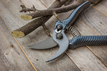 New garden pruner on a wooden table