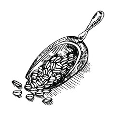 painted coffee beans, scoop for packaging coffee, retro style illustration, vector image