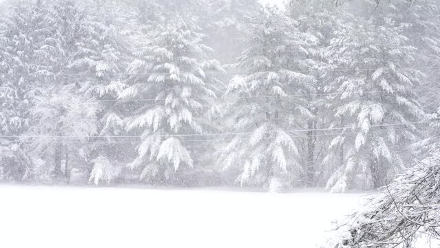Castleton Winter - Three