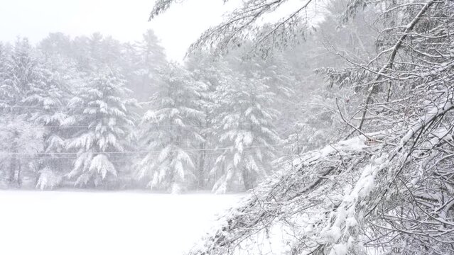 Castleton Winter - Three