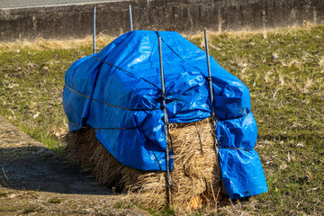 Freshly harvested hay covered with blue tarp on small farm - obrazy, fototapety, plakaty
