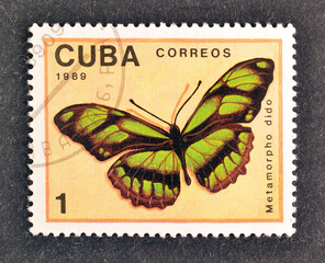 Cancelled postage stamp printed by Cuba, that shows Dido Longwing (Metamorpho dido), circa 1989.