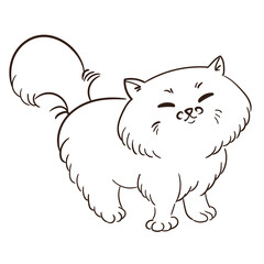 Outline of a cute fluffy cat on a white background