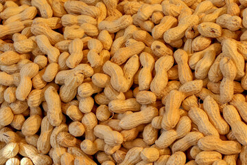 Macro background texture of peanuts