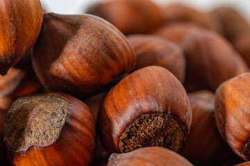 Hazelnuts in the shell. Round filbert, ripe fruit of a Corylus avellana hazel shrubs.
