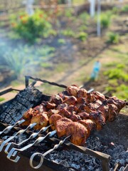 grilled meat on the grill in nature