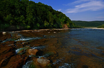 Landscape with a riverain bank, on a sunny day in summer