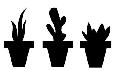 potted plant silhouette