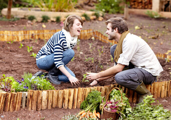 Gardening is something they have in common. Shot of a young couple planting seedlings in their vegetable garden together.