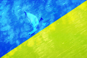 A flying bird diagonally up against the background of the yellow-blue color of the Ukrainian flag