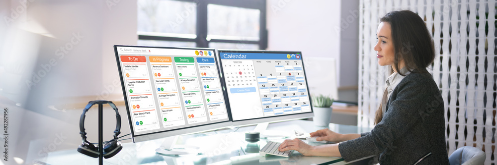 Poster scrum project manager