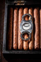 Expensive and handmade cigar on humidor with metal cutterr.