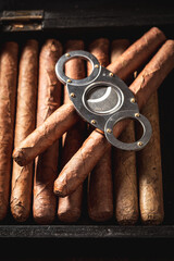 Cuban and expensive cigar on humidor with metal cutterr.