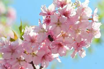 Spring is just around the corner