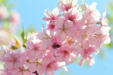 The weather is warming up.